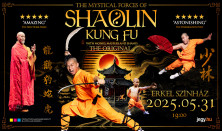 The Mystical Forces of Shaolin Kung Fu